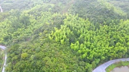 溧阳岚峰山风景区哔哩哔哩bilibili