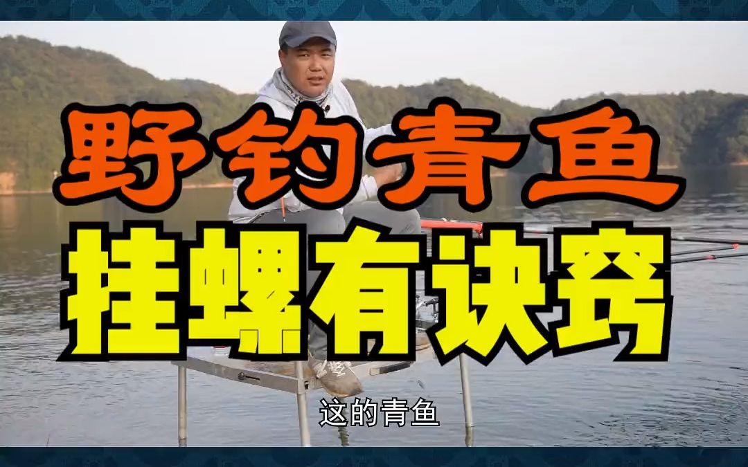 钓青鱼挂螺丝试试这种挂法命中率贼高实实在在的好用