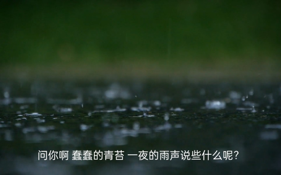 每日一诗|《雨声说些什么》——余光中(问你啊,蠢蠢的青苔 一夜的雨声说些什么呢?)哔哩哔哩bilibili