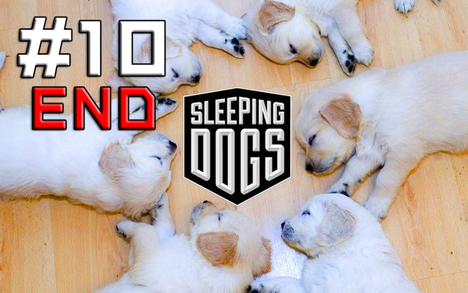 【dev】【大结局】热血无赖 sleeping dogs 无间道 直播实况 (part 10
