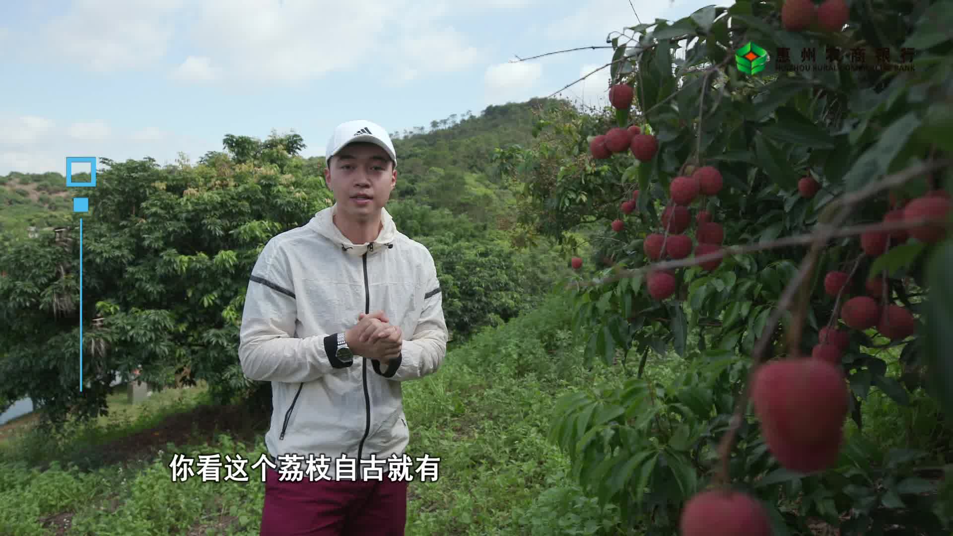 [图]《美丽惠州》第10期 “荔枝之乡”美丽镇隆