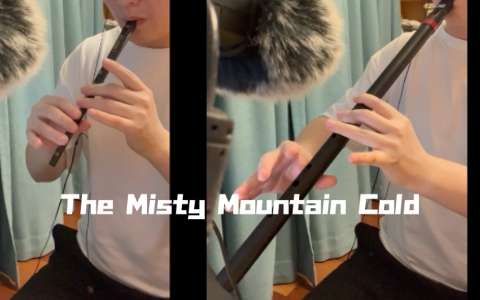 [图]哨笛初学尝试霍比特人The Misty Mountain Cold