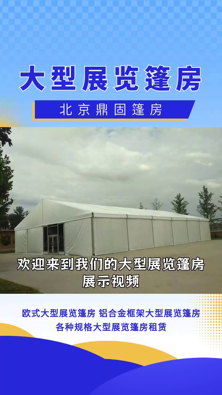 张明东书法作品-荣获2024年兰亭杯书画大赛金奖(图1)