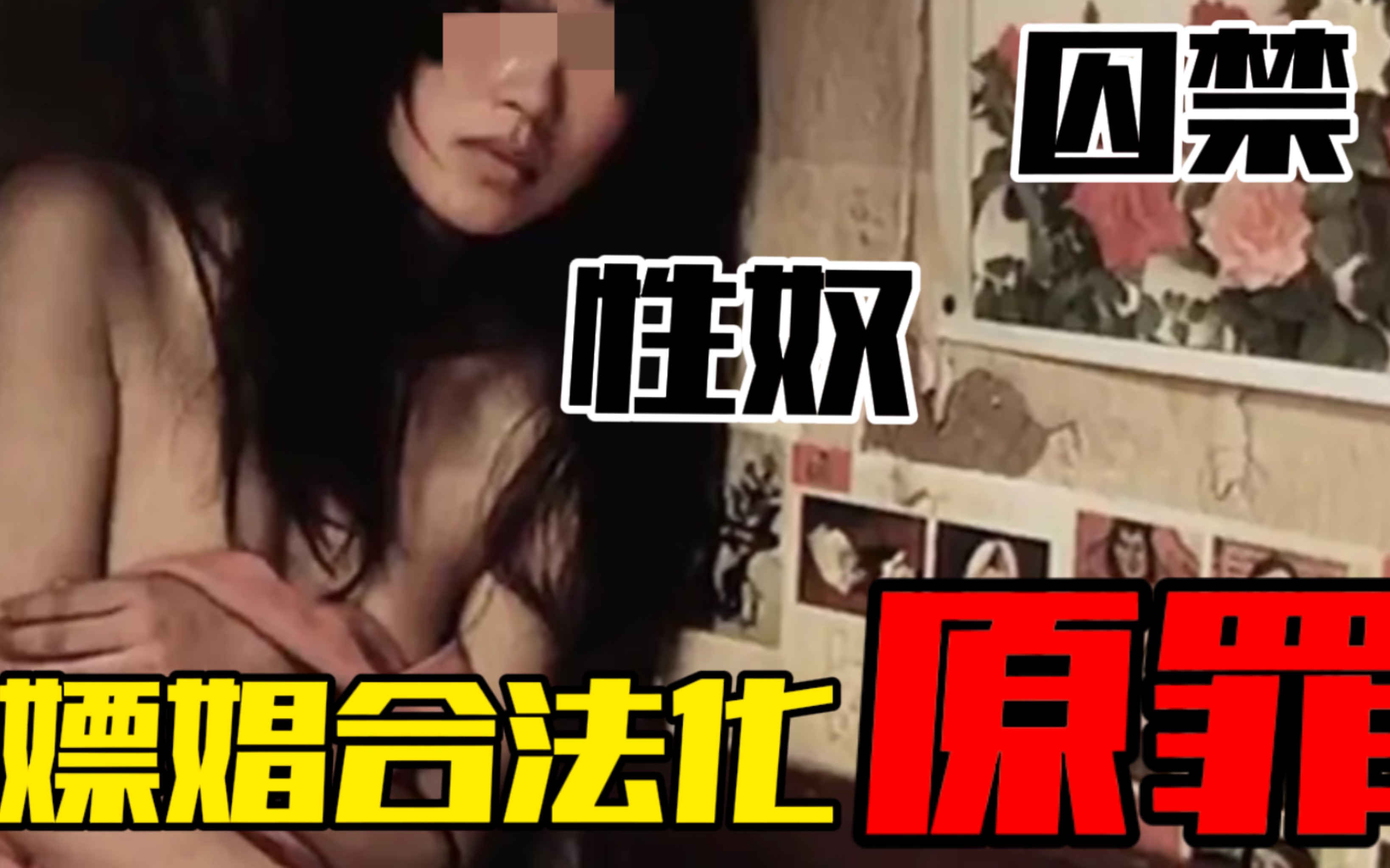 【真实事件】只是嫖个娼而已?揭秘嫖娼合法化背后的惊天内幕!哔哩哔哩bilibili