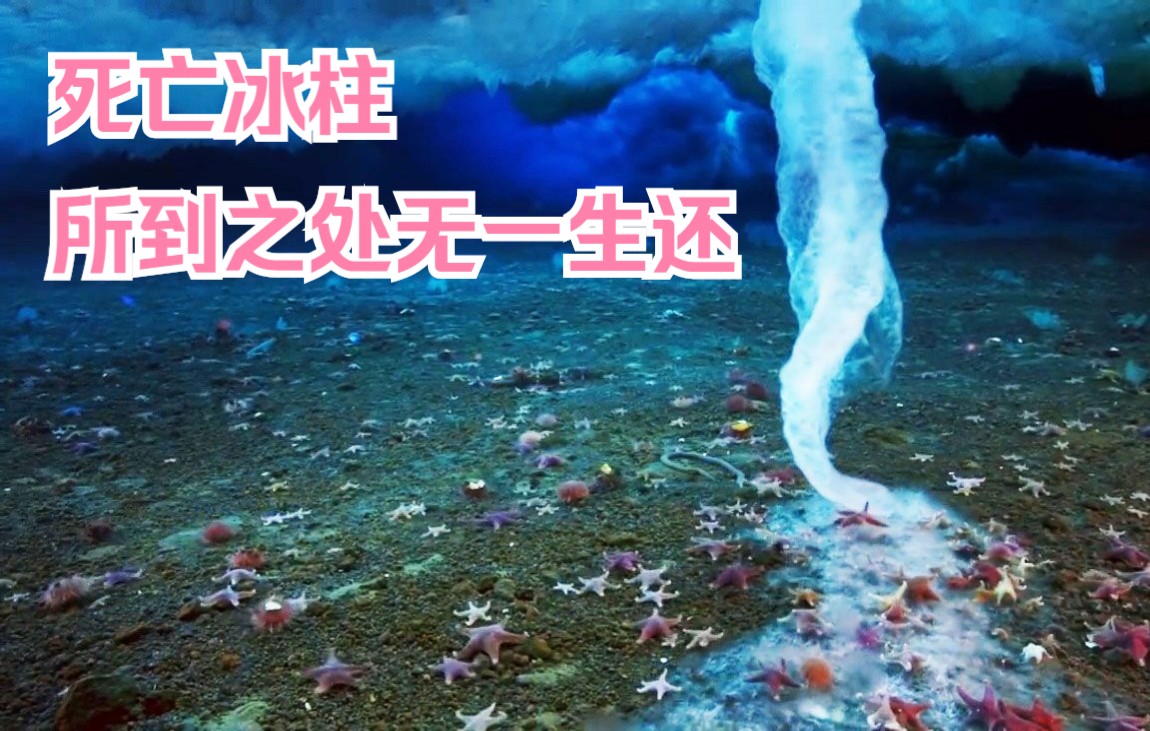 死亡冰柱,一场不可抵挡的灾难,所到之处无一生还!