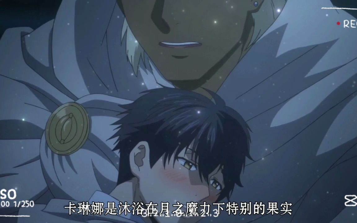 这tm才叫顶级omega!他扭扭腰,晃晃腿,那些alpha怕是会疯!