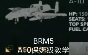 Download Video: [BRM5]保姆级A10教学