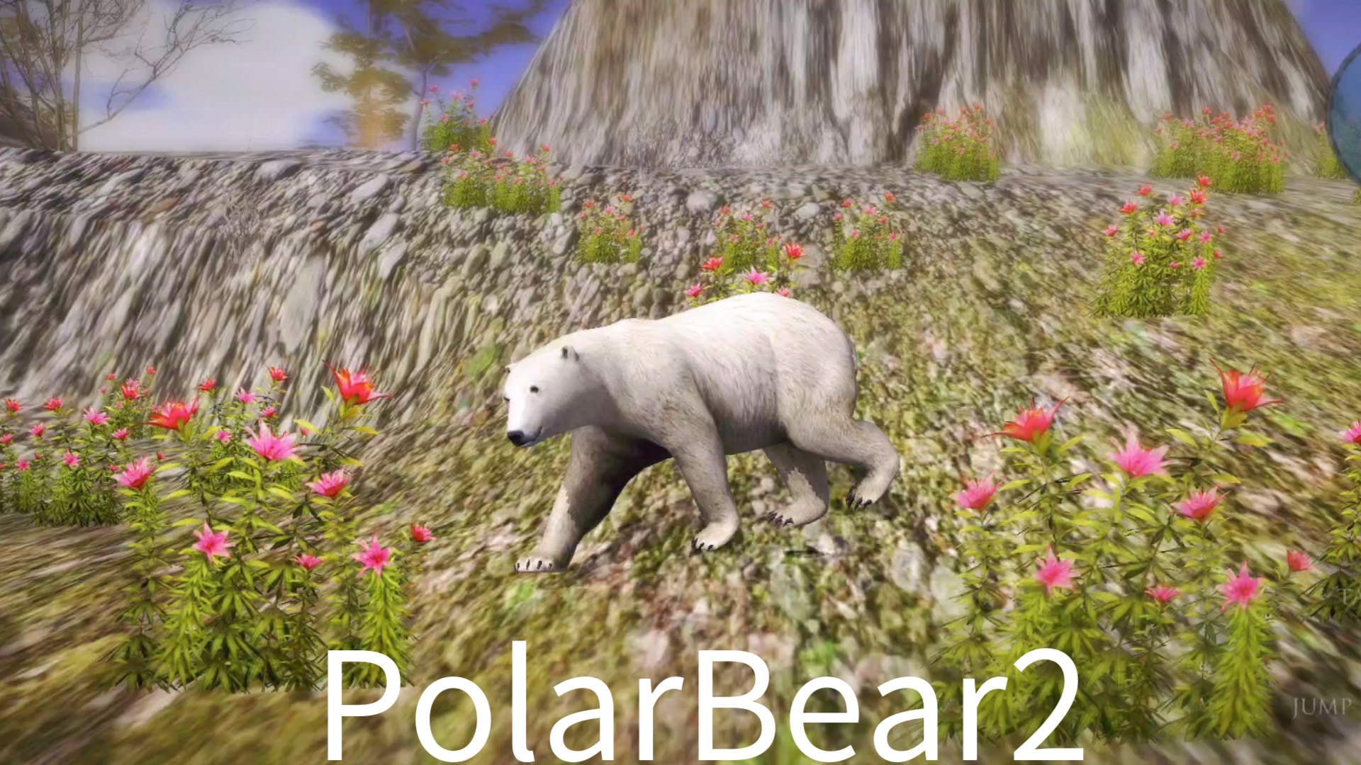 polarbearcub图片