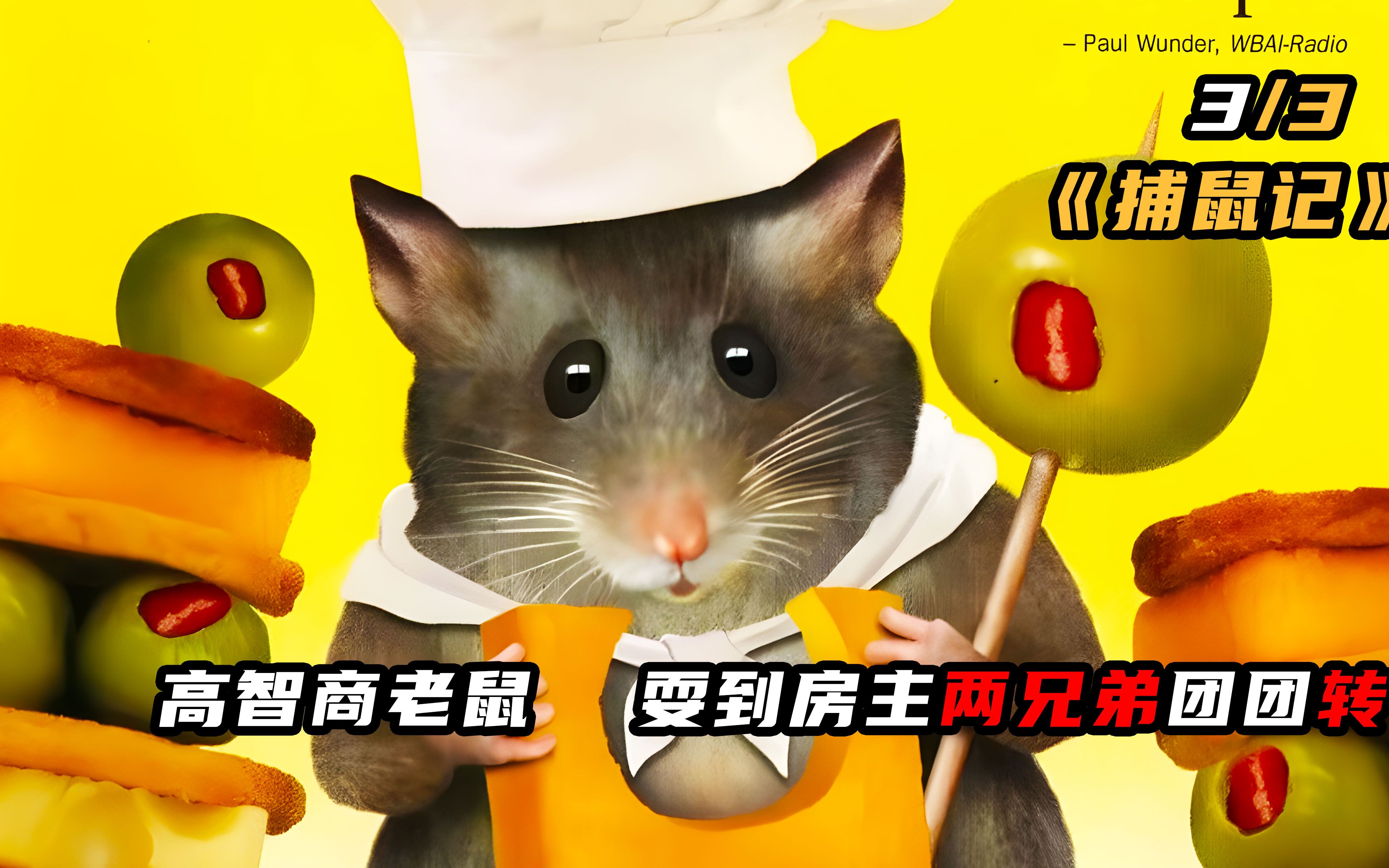 老鼠专家是这样抓小老鼠的?