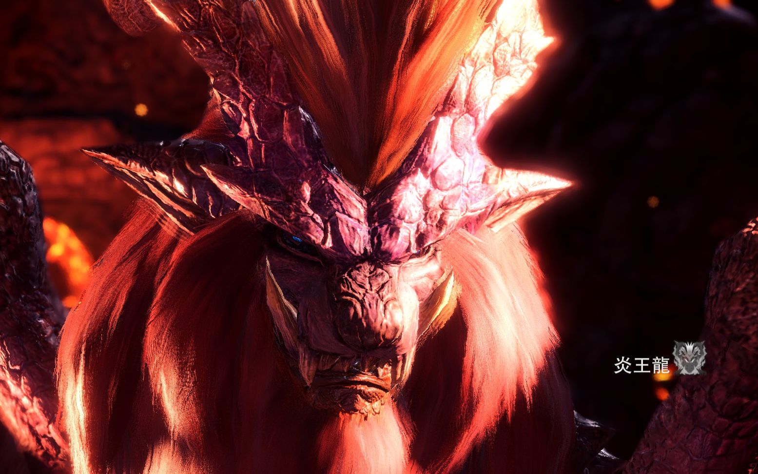 [泥鱼龙双刀练习向]手残如何刷炎王龙