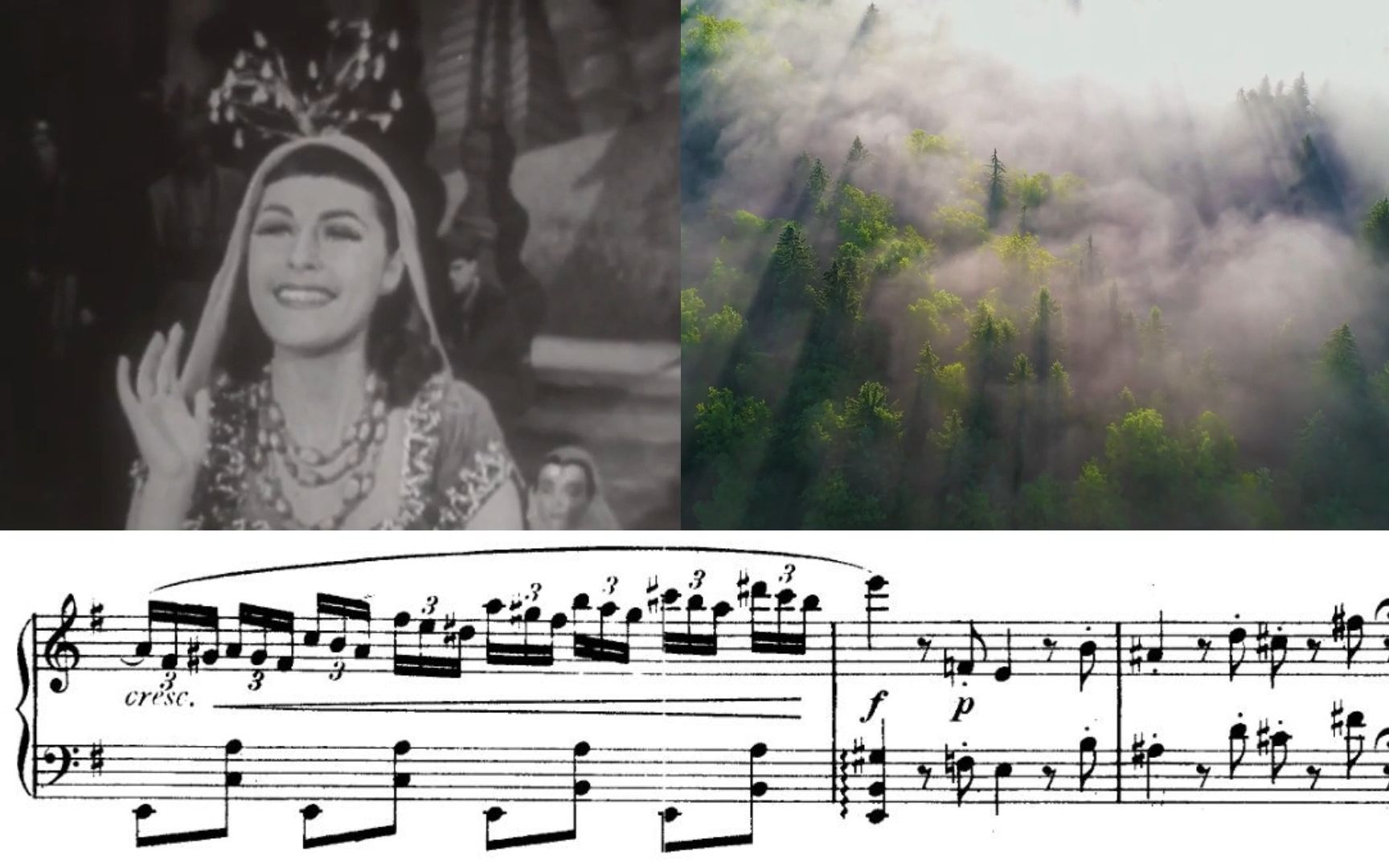 【8K】MV 宮本浩次 《冬之花》「冬の花」—— 收藏级画质-徐芝兰-音乐-哔哩哔哩视频