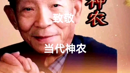 [图]致敬当代神农袁隆平