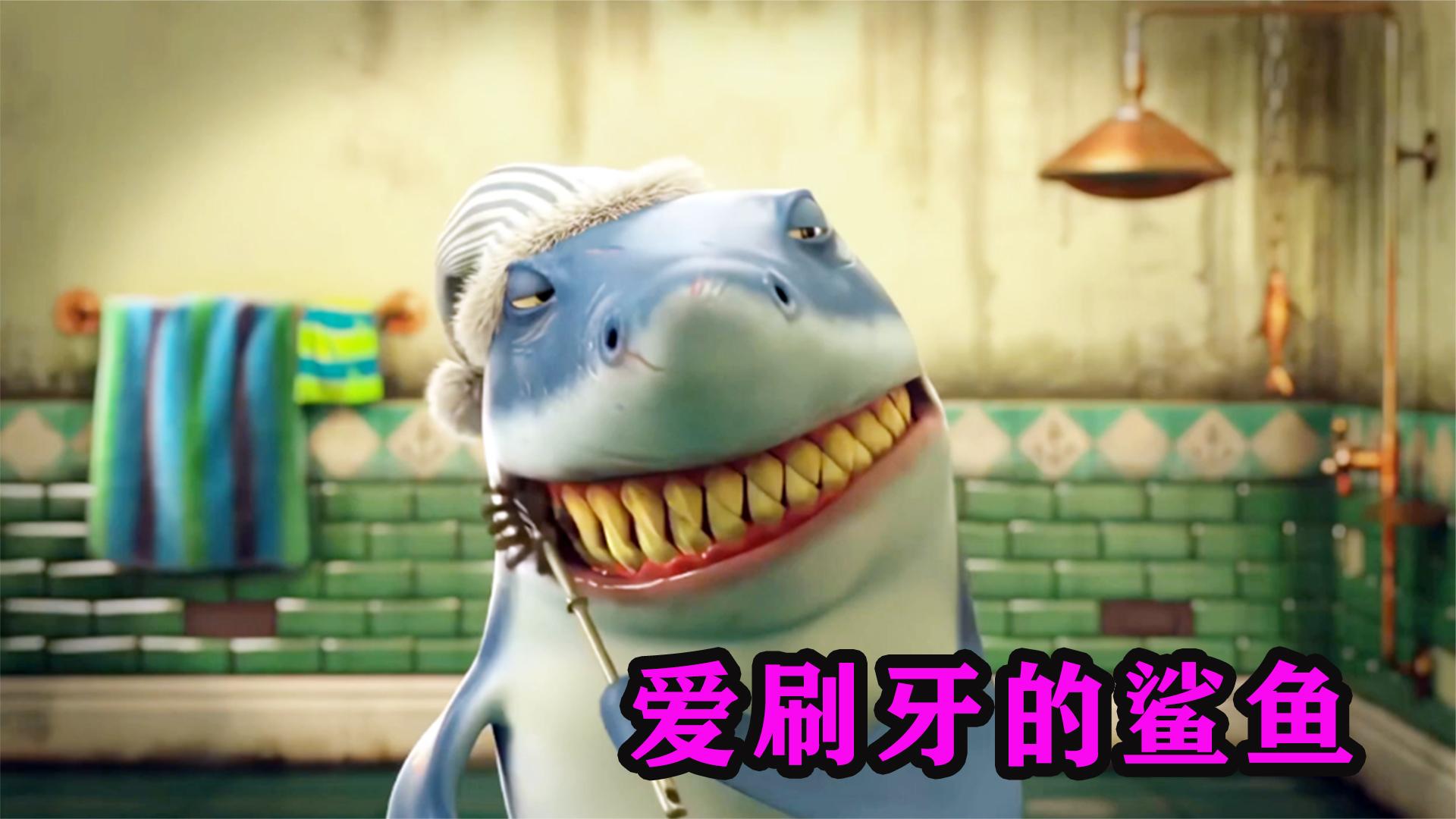 鲨鱼刷牙过于敷衍,结果牙齿全部掉光,搞笑动画二次元短片