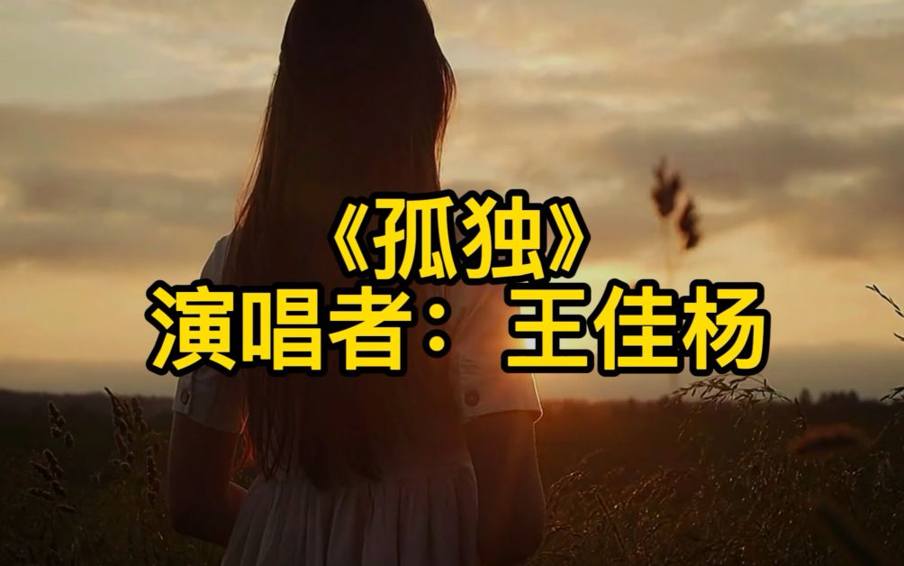 伤感情歌《孤独》王佳杨.孤独的人孤独的歌,哭着也要听完.哔哩哔哩bilibili