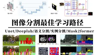 【2025图像分割入门天花板教程】逼自己一周学会Unet、deeplab、语义分割、实例分割、Mask2former