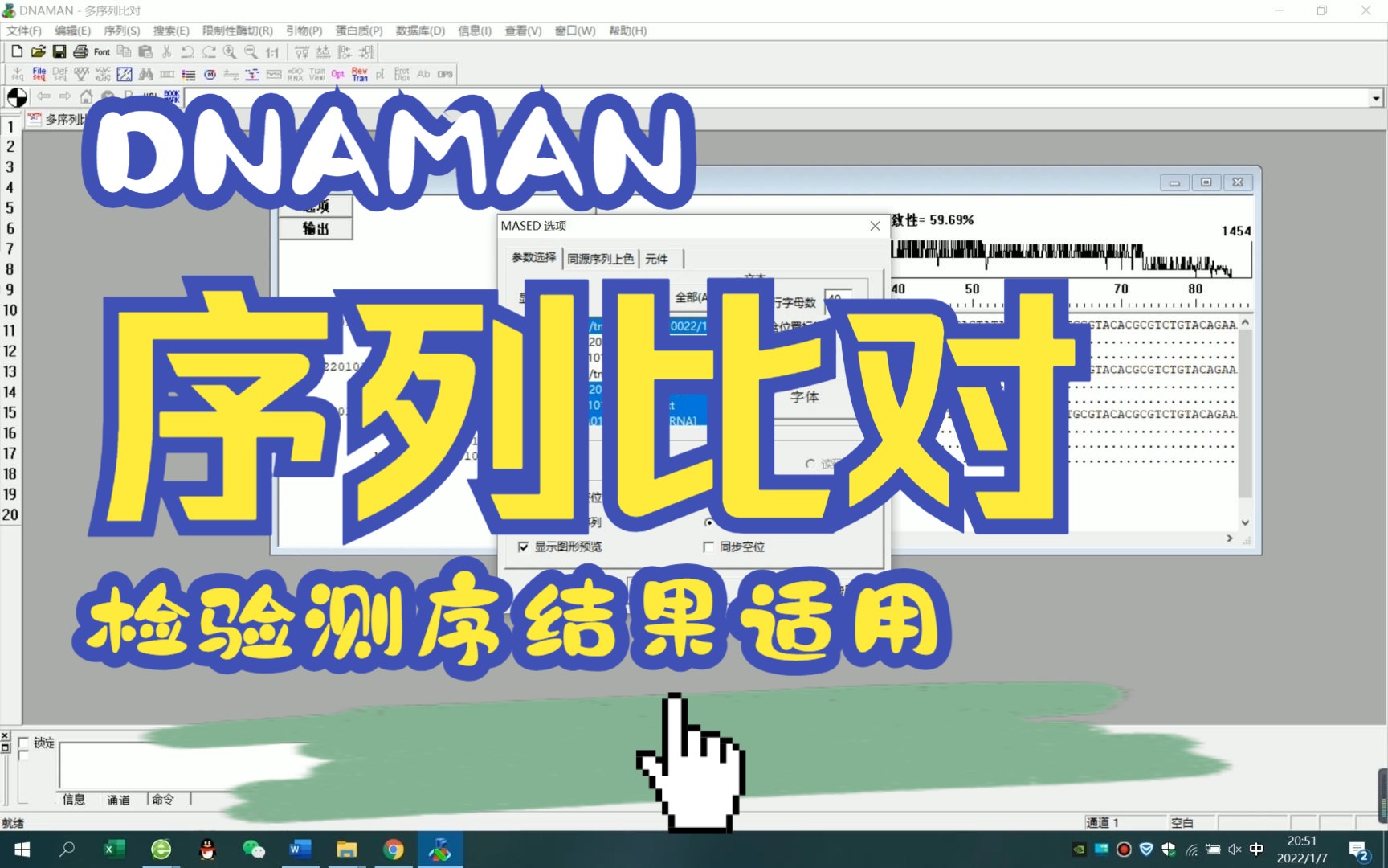 DNAMAN多序列比对检查测序结果专用哔哩哔哩bilibili