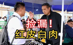 Download Video: 人见人爱花见花开红皮白肉收获囊中！