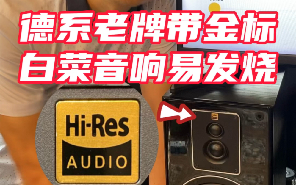 德系老牌带金标(HiRes AUDIO),白菜音响易发烧!——Magnat S503+MA700哔哩哔哩bilibili