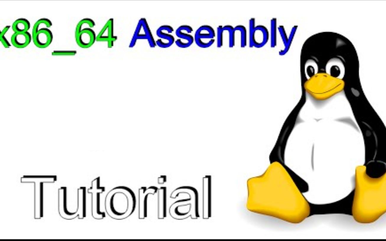 [NASM] x8664 Linux Assembly哔哩哔哩bilibili