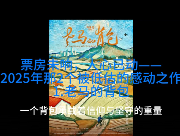 票房未响，人心已动，2025年被忽略的两部感人之作