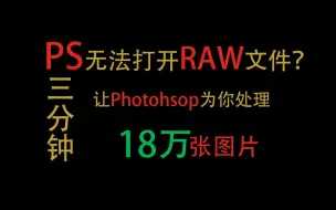 Download Video: Photoshop打不开RAW的解决方案