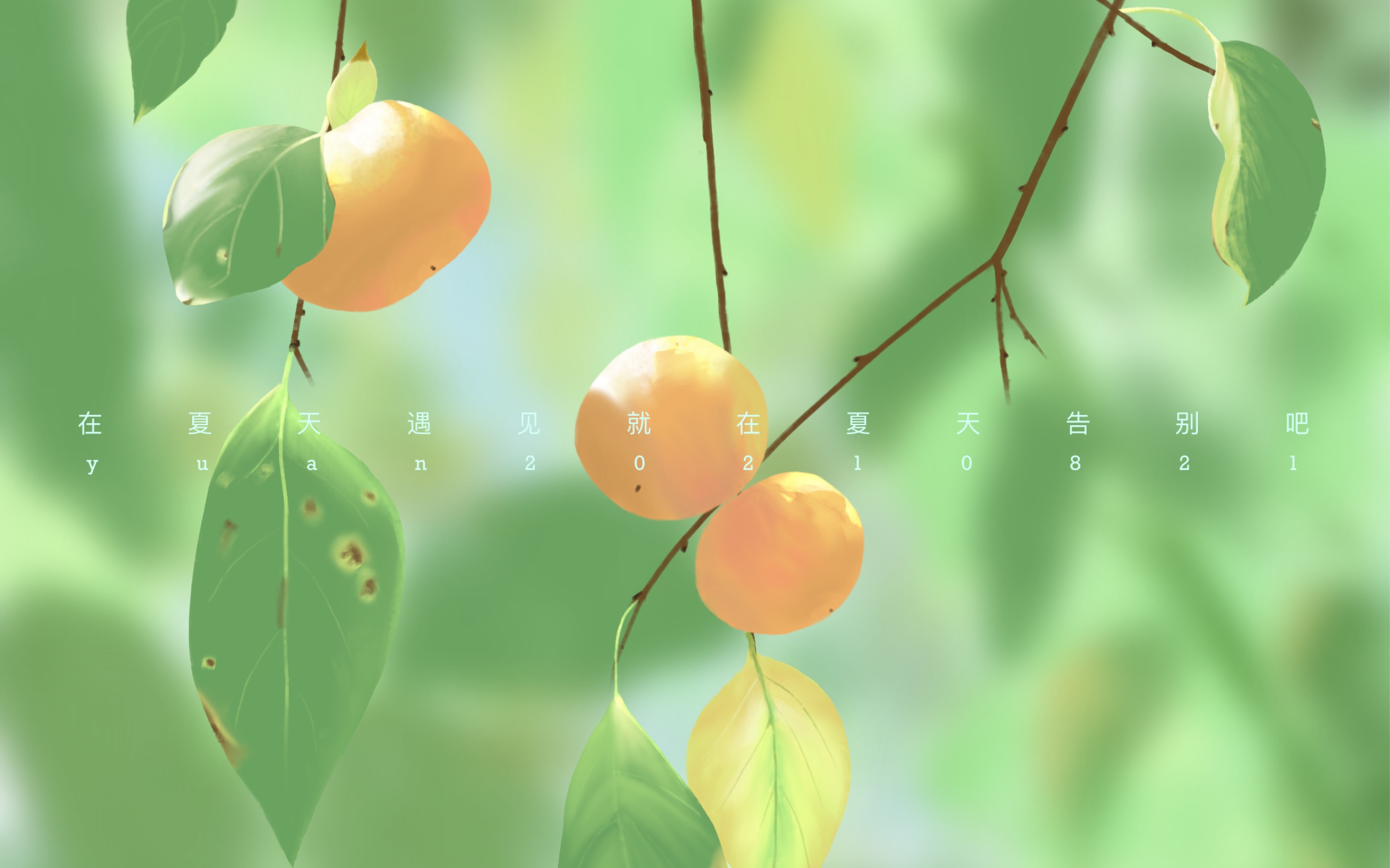 【procreate】"在夏天遇见就在夏天告别吧"