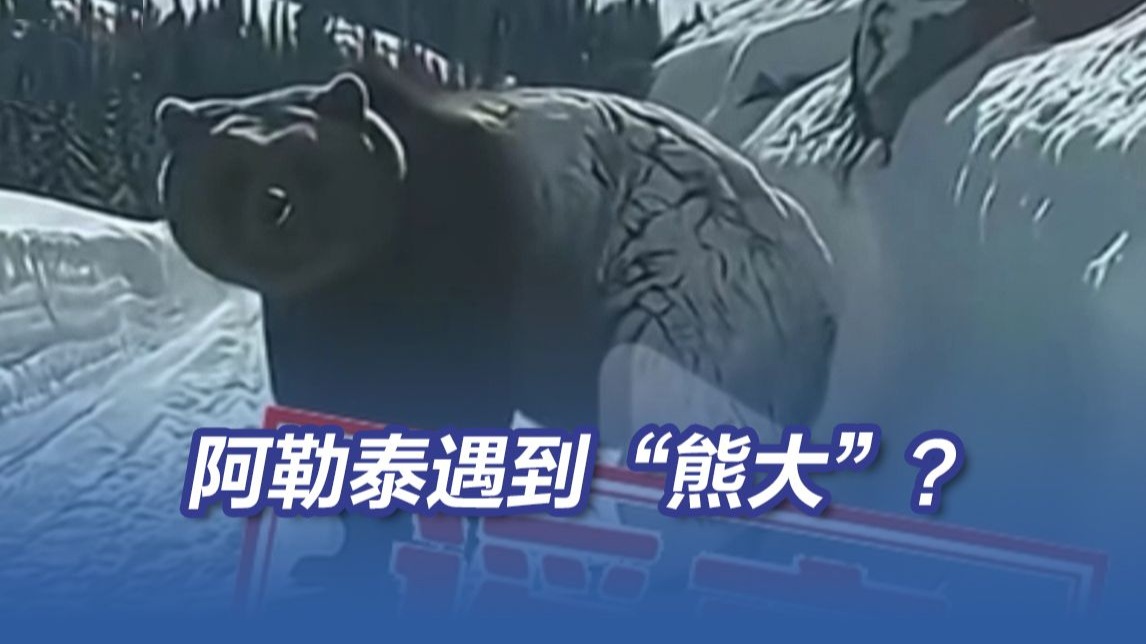 网传“新疆喀纳斯出现棕熊”？假的！“喀纳斯出现棕熊”视频系AI生成。