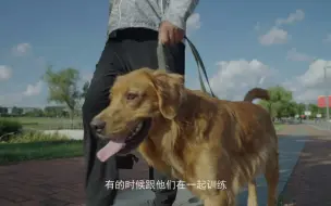 导盲犬 宣传片