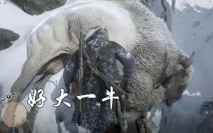 Descargar video: 雪山传说白野牛狩猎地点及流程