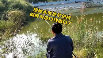 下载视频: 大爷独自连竿的秘密，原来还是那五个字，实锤了，秋季就这么找鱼