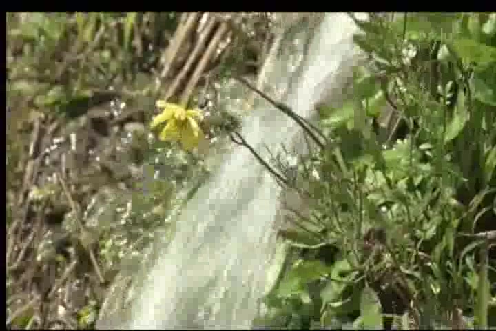 [图][道兰][NHK纪录片]映像诗-日本里山：记得吗~故乡的风景~