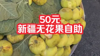 Télécharger la video: 50元一个人，新疆无花果自助，我能吃回本吗？