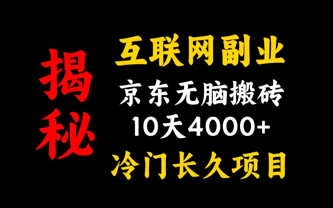 【搬砖必备】京东无脑搬砖项目,亲测实战好项目,10天轻松赚4000+!一部手机可操作!哔哩哔哩bilibili