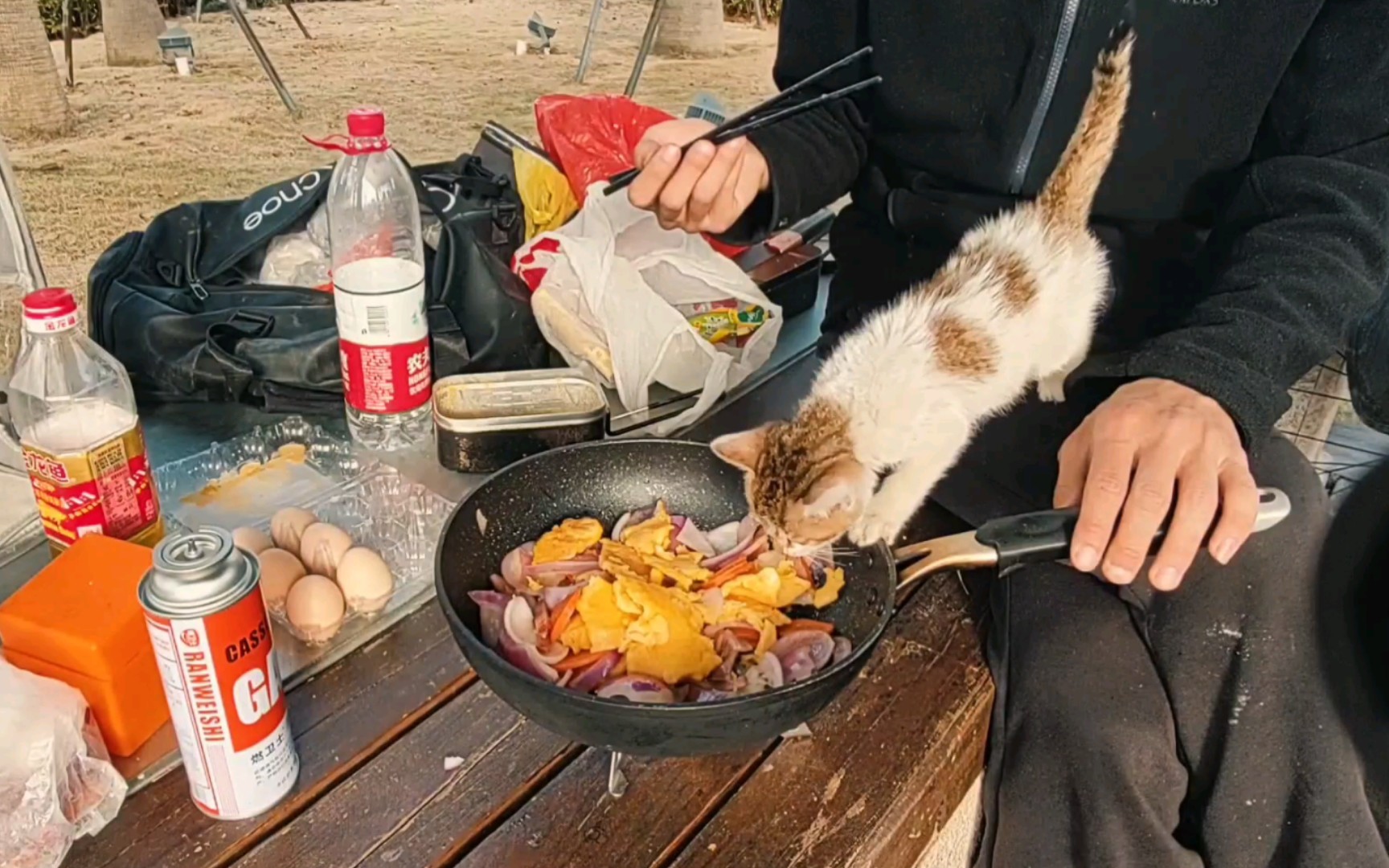 骑行福建到达诏安 猫毛过敏难受一天 露营最爱凉亭 骑行环华第四十四回哔哩哔哩bilibili