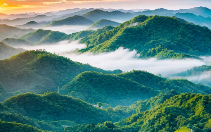 读多点书,比如看到此场景你会说___________而不是,卧槽,这风景真好看