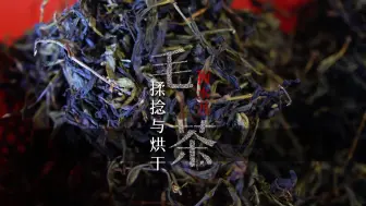 Download Video: 武夷岩茶制作过程全纪实|大红袍初制技艺之揉捻和干燥工序