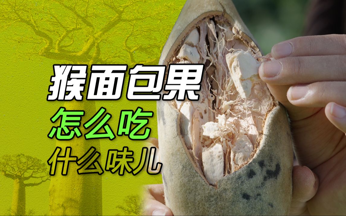 猴面包果味道究竟怎么样?做成饮料意外不错!哔哩哔哩bilibili