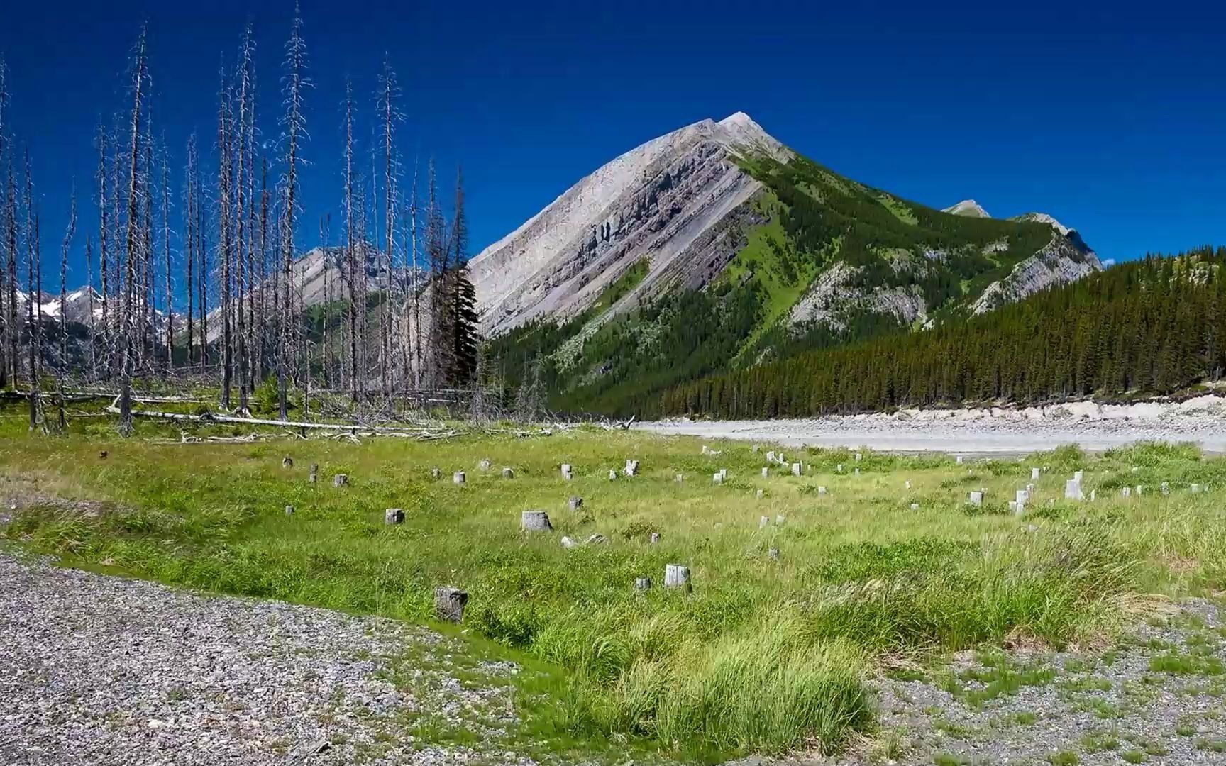 专业化销售让签单率暴