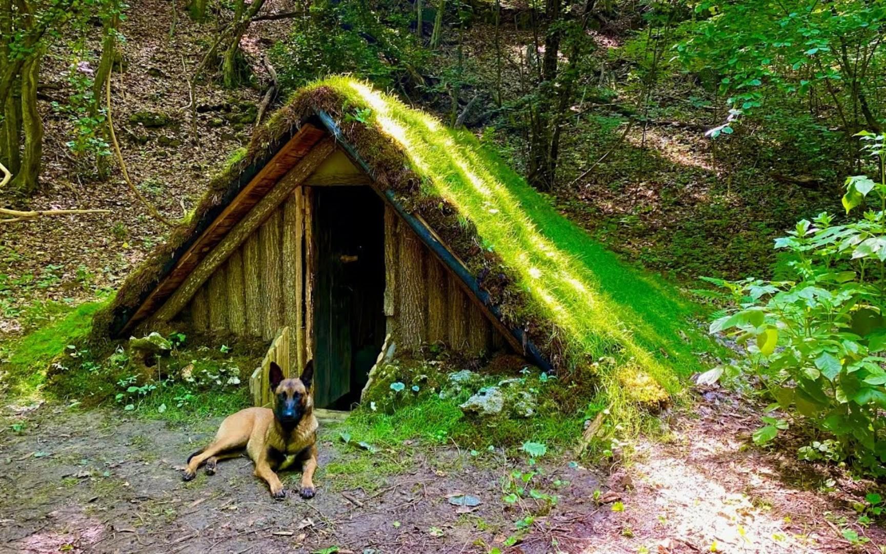 野外生存,小伙在深山打造出自己的地下木屋,里面更是奢华舒适