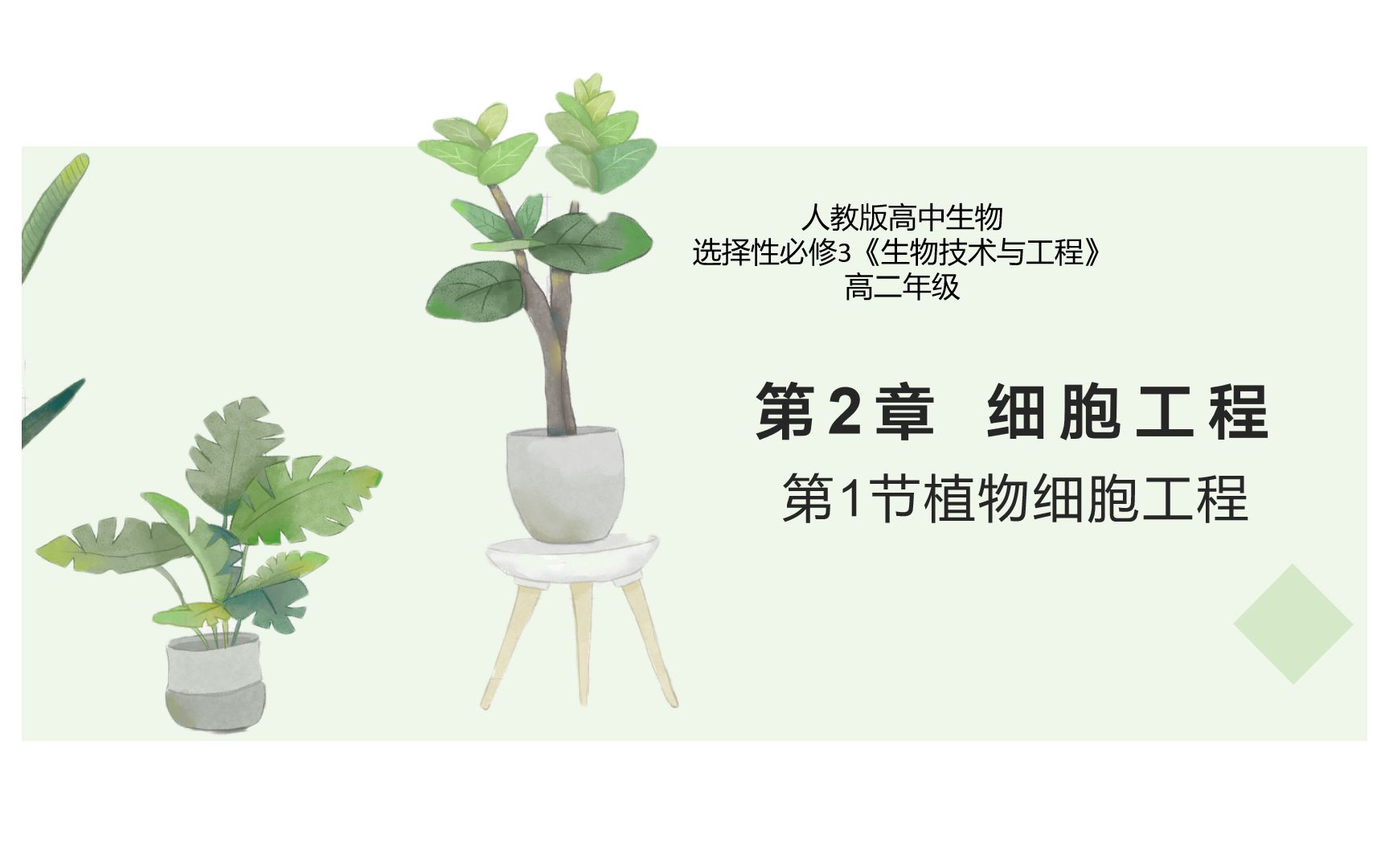 植物组织培养1哔哩哔哩bilibili