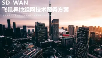 免费SDWAN/异地组网！我们来揽局了