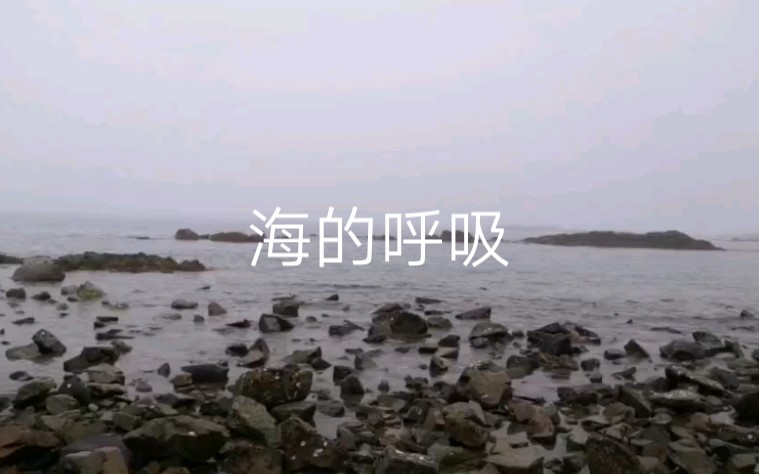 [图]青岛，大海呀，唱了那么多年的大海是我的故乡，终于见到啦