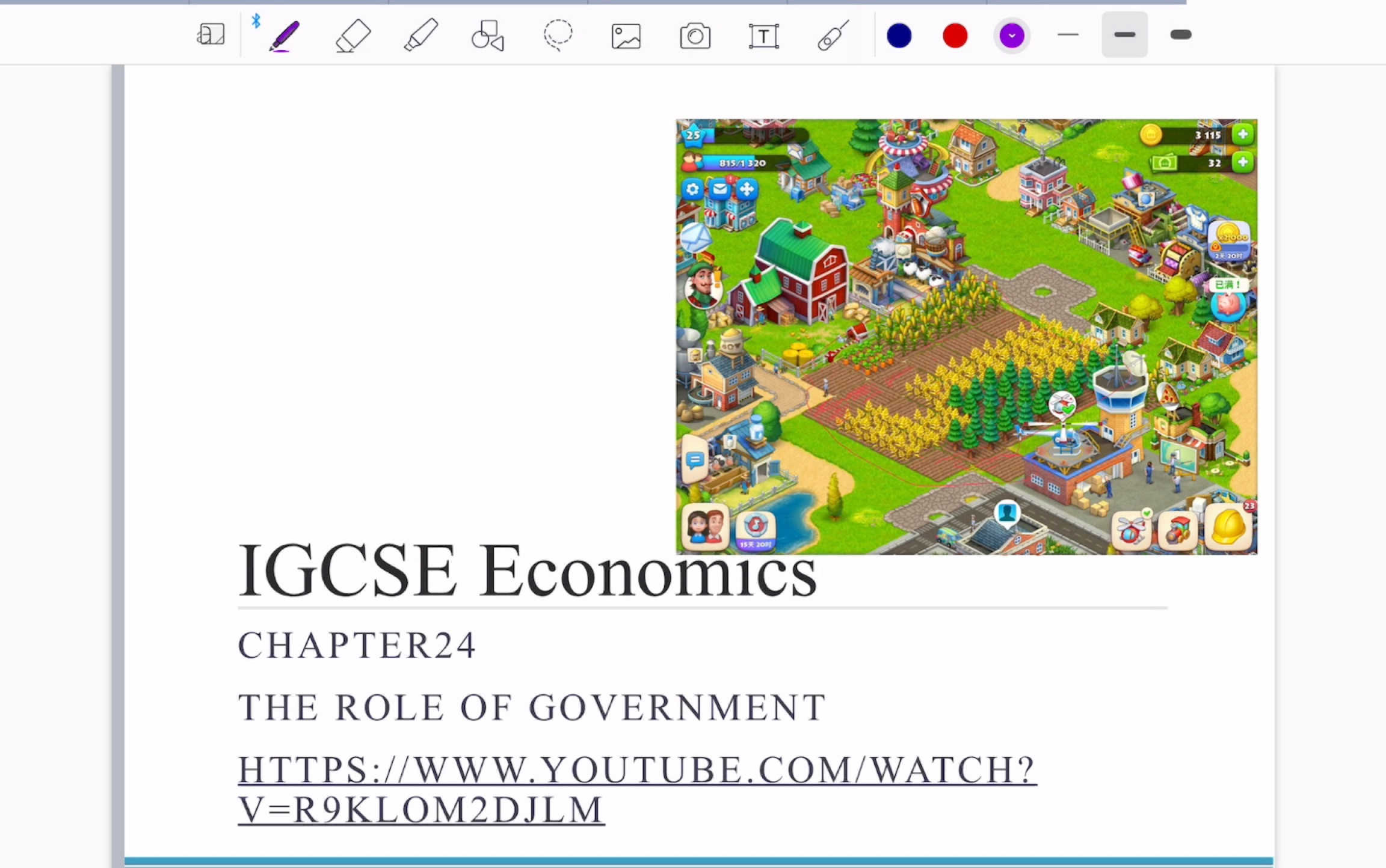 IGCSE Economics S4  chapter 24  the role of government哔哩哔哩bilibili