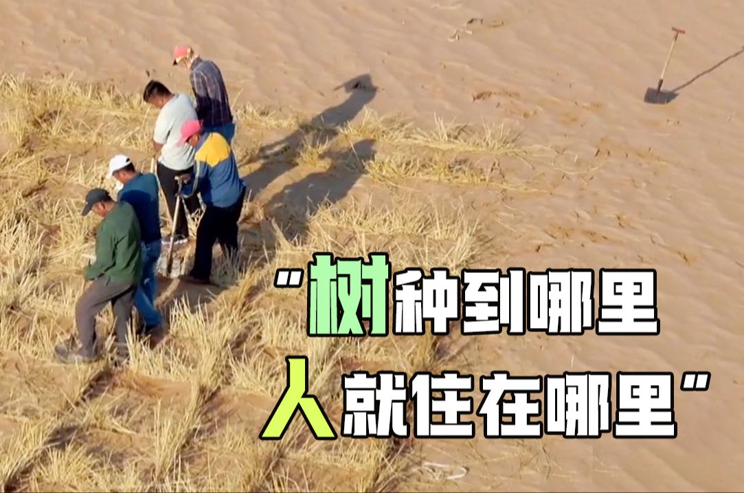 “沙海愚公”石光银说:“树种到哪里人就住在哪里”哔哩哔哩bilibili