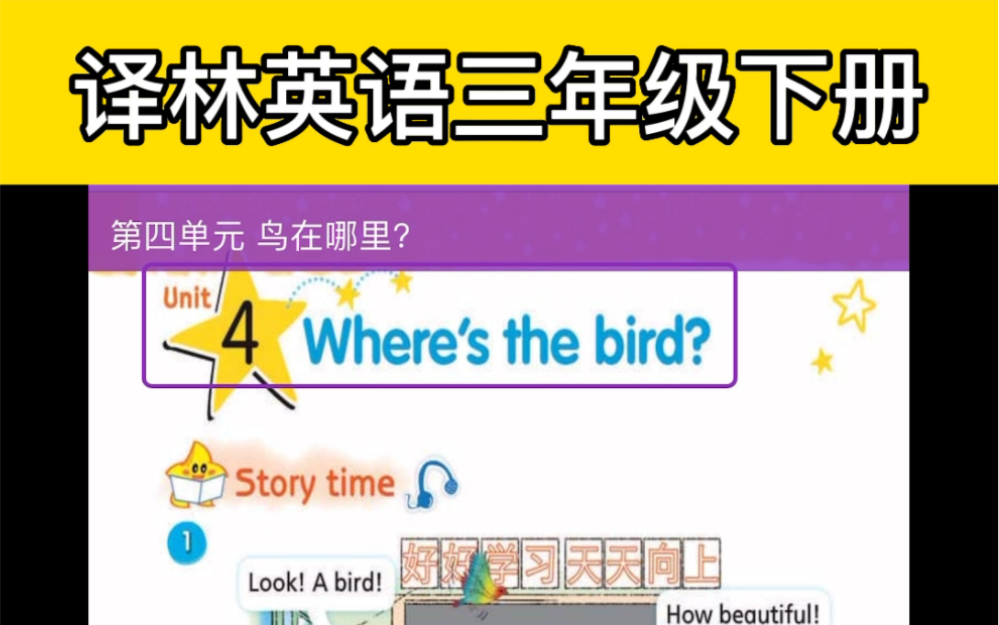 苏教版译林英语三年下册Unit 4 Where's the bird? 课文朗读和翻译.𐟑翻译在视频左上角哦!☺️𐟒ž—版英语 #译林英语三下哔哩哔哩bilibili