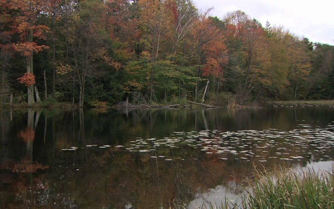 [图][世界上最美丽的地方·情迷新英格兰].Living.Landscapes.Earthscapes.Fall.In.New.England.2008.BluRay