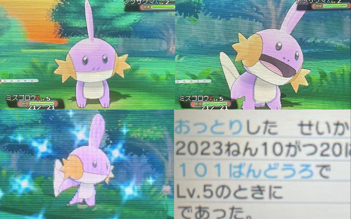 【阿尔法蓝宝石】初始御三家 闪光水跃鱼 ♀ 445次!