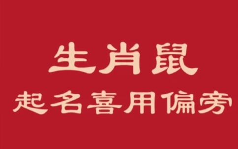 生肖鼠宝宝起名宜用字根偏旁推荐哔哩哔哩bilibili