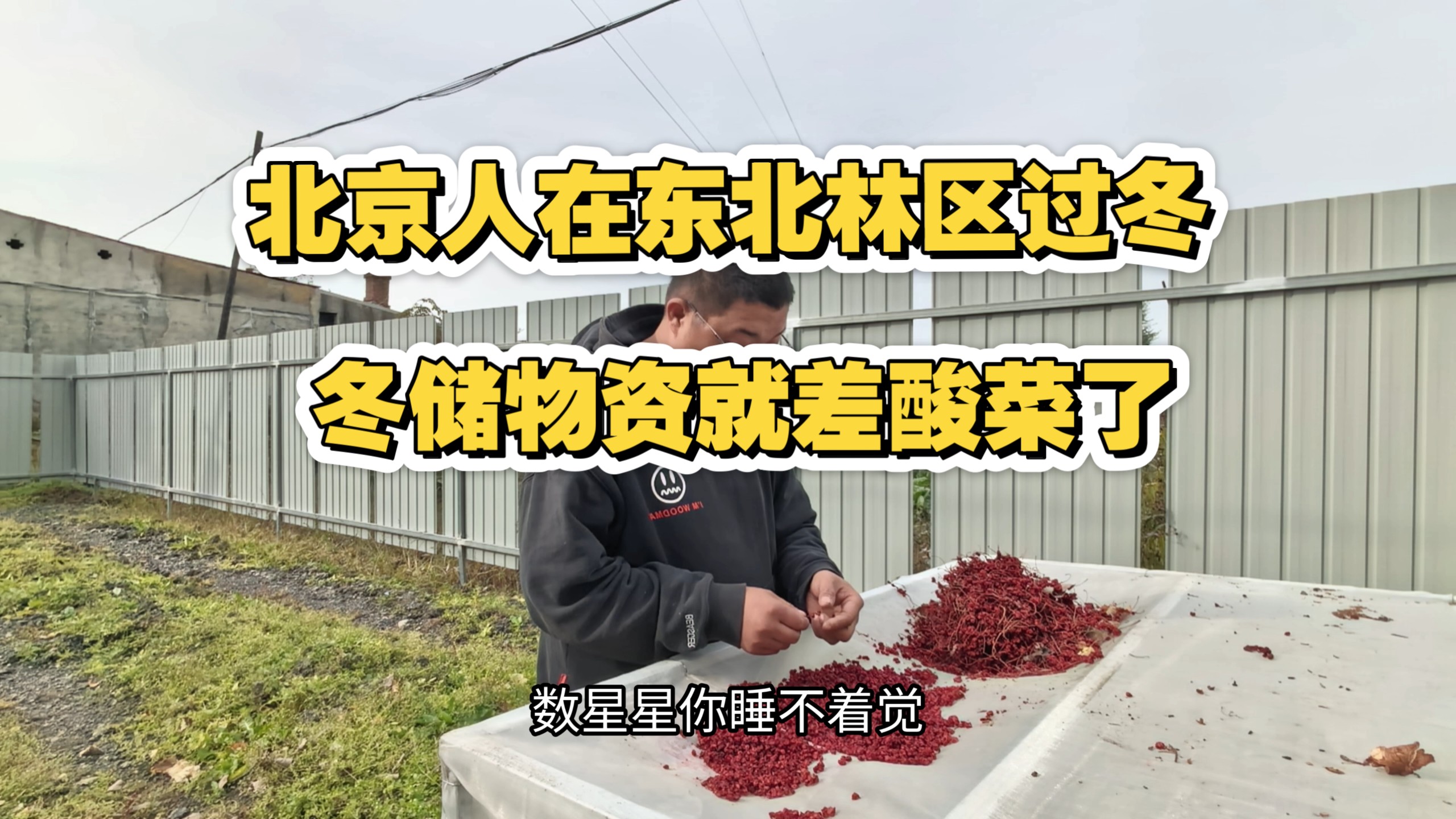 北京人在黑龙江林区过冬，冬储取暖食物物资准备充裕就差腌酸菜了