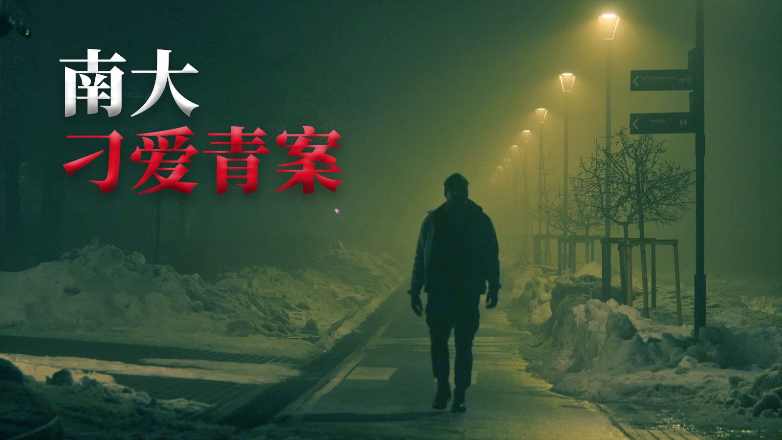 雪夜里消失的女大学生，29年前的终极悬案〡南大刁爱青案-半岛码头-半岛码头-哔哩哔哩视频